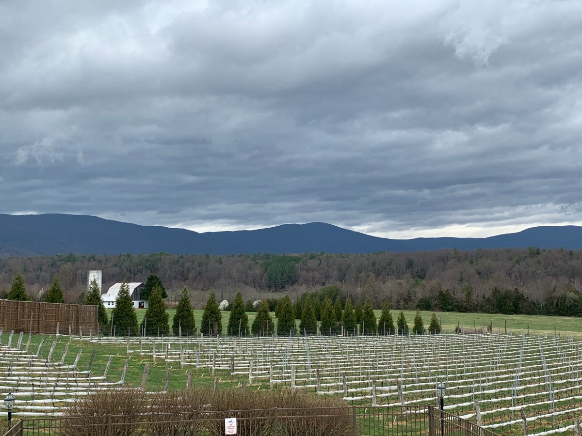 The Inn at Stinson&nbsp;Vineyards